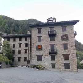 Il gallo alpino a Champorcher