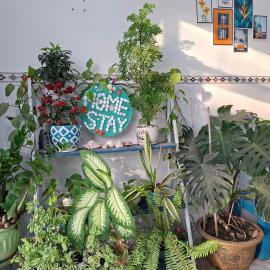 Ánh Dương Homestay - Coastal stop - Just 2 mins walking to Eo Gio، فندق في كوي نون