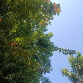 The nature house of Arugambay, hotel v destinaci Arugam Bay