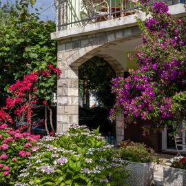 Boka Garden