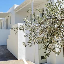 Sifnos में, होटल Firogia Olive Grove Hideaway