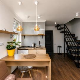 Modern Tiny House
