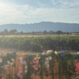 Provence Nature & Outdoor House- with study and plunge
