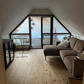 Large and charming apartment with a huge roof terrace