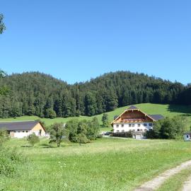 Russbachbauer, hotel in St. Wolfgang