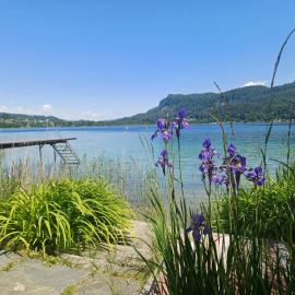 Seehaus Keutschach - direkt am See mit Boot