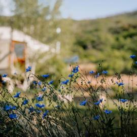 Modern Solar Powered Yurt Fully Equipped in Basalt, Colorado, hotel v destinaci Basalt