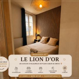 Le Lion d'Or - En Plein Cœur Historique