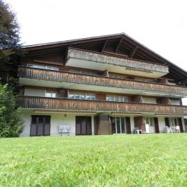 Apartment Diamant Appartement-Fewo- Dusche oder Bad- WC- 1 Schlafraum 2-Bettwohnung by Interhome