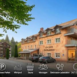 Hotel Ladenmühle – hotel w mieście Altenberg