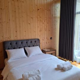 AnArt resort, hotelli kohteessa Vanadzor