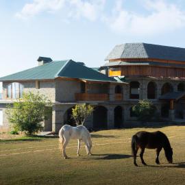 Colonel's Resort