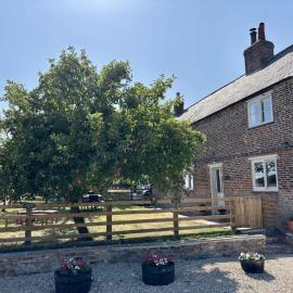 3 Bed in Cundall oc-l34088