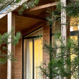 Consciousness Retreat Center Private Chalets in Nature, hotel in Marʼyanovka