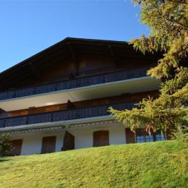 Apartment Hornflue - Wohlwender Appartement-Fewo- Dusche oder Bad- WC 2-Bettwohnung by Interhome