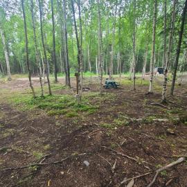 Houston Grass Station Campsite #36, hotel u gradu Vasila