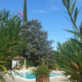 Le Mazet provençal