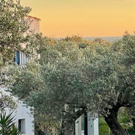 Can Mimosa Guesthouse, hotel u gradu 'Tortosa'