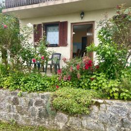 VT Apartmans, Hotel in Rebrovac