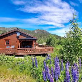 Holiday Home Bjørnbu by Interhome, hotel en Øyuvstad