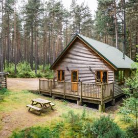 Coldstone में, होटल Apartment Capercaillie Cabin by Interhome