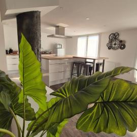 ALBI Logement spacieux, hotel din Albi
