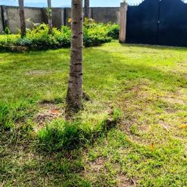 Lattafa luxury retreat and Bnb, hotel a Kisumu