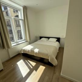 Cozy Nest
