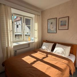 V srdci Telče - Apartmán