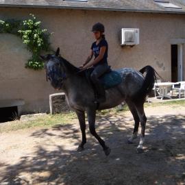 Tout Crin