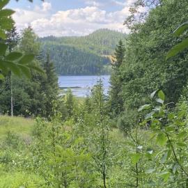 Cozy cabin in the woods with a view of the lake, Hotel in Flesberg