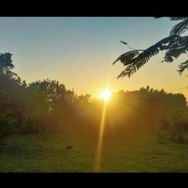 Kwetu nungwi, hotel a Kinyasini