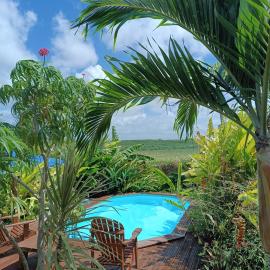 Gites kaz à klemence - Bungalow karapat - jacuzzi privé et piscine partagée au cœur de la nature à Anse-Bertrand, Hotel in Anse-Bertrand