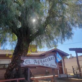 El Aguaribay de los Nonos