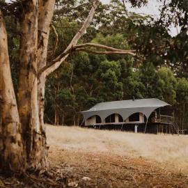 Wandagar Eco Tent - Baudin, Hotel in Pemberton