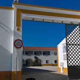 Lusitanus, hotel sa Golegã