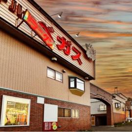 Hotel Vegas (Adult Only), hotel in Sapporo