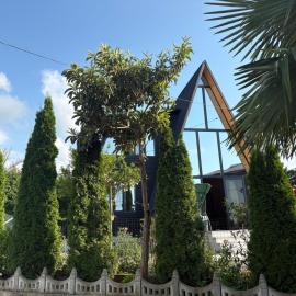 CottageNEO, hotel in Charnali