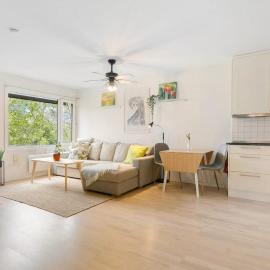 Bright and fully furnished 2-room apartment in Hauketo