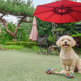 Pocheon Arumdri Pension、抱川市のホテル