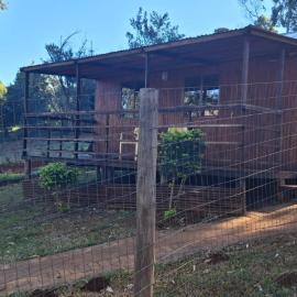 Mongoose Cabin, hotell i Frenchbobs