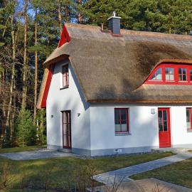 Sandregenpfeifer
