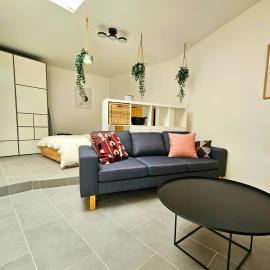 Modern & Spacious Studio in Lausanne! RN18-5, hotel in Prilly