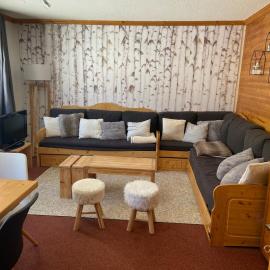 Ski-in out Méribel Mottaret，莱斯奥琉斯的飯店