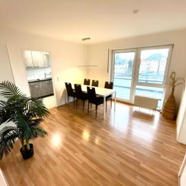 Modernes Apartment mit großer Terrasse in Coswig