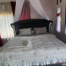 Nangin View HOTEL Orang utan tour & trekking