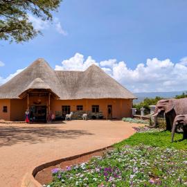 Maasai ecoLodge