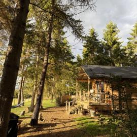 Pinetree Lodge, Cotswolds, hotel in Mickleton