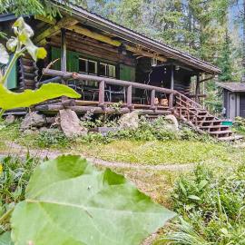 A well-equipped log cabin in Nuuksio National Park