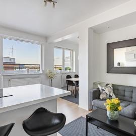 Frogner 2BR, top floor, large private roof terrace
